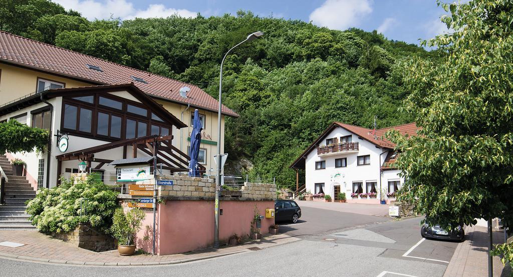 Hotel Berg Dannenfels Экстерьер фото
